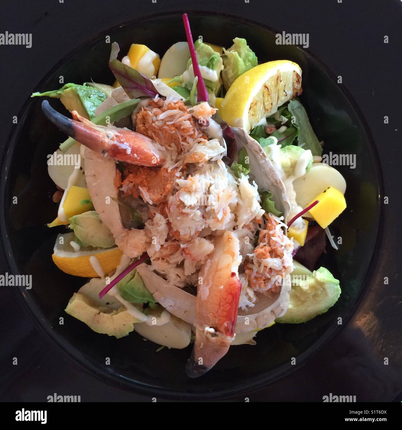 Gekleidet Krabben Salat mit Avocado, Mango und Pinienkernen Stockfoto