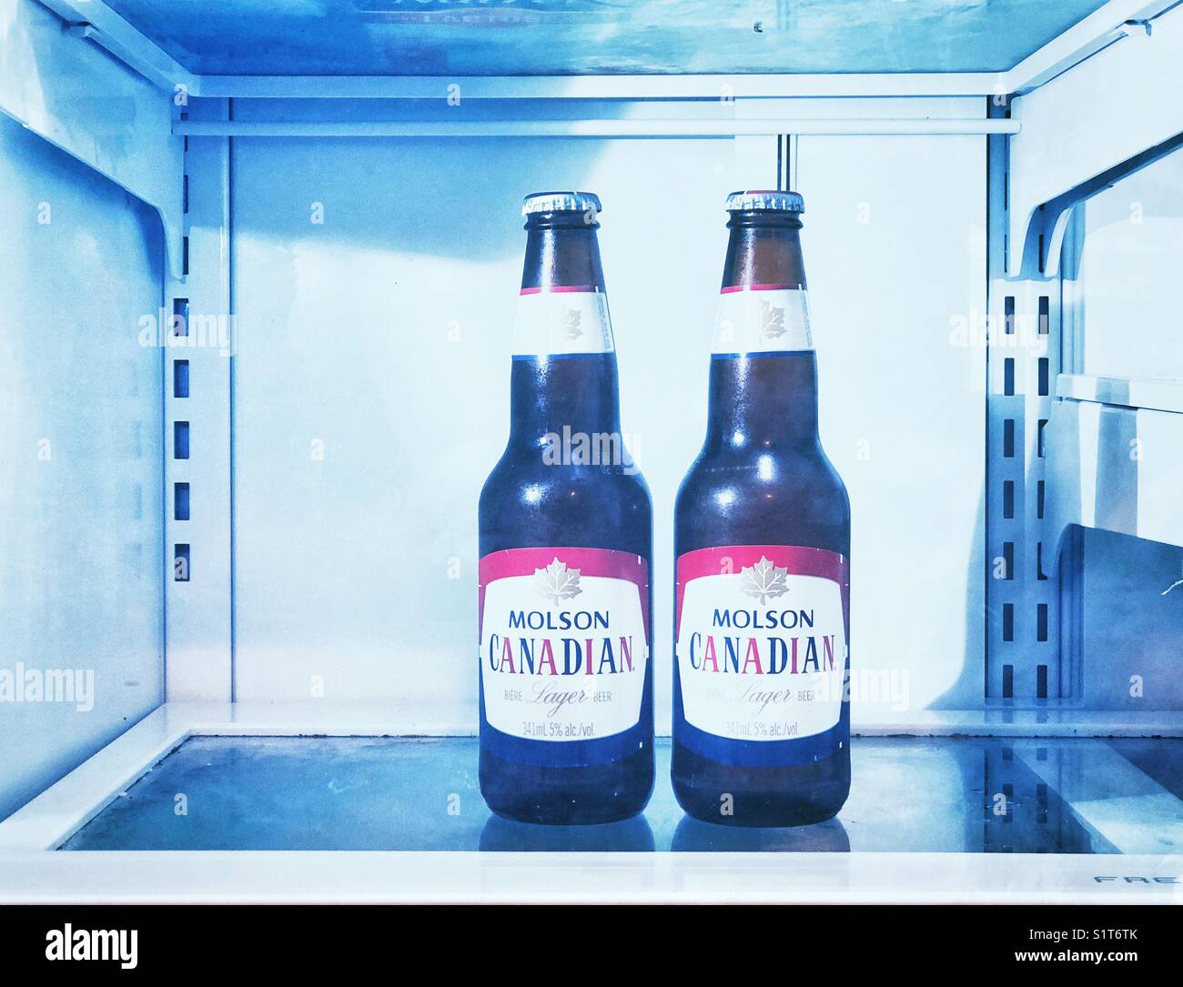 Zwei kalten Molson Canadian Lager Bier im Kühlschrank Stockfoto