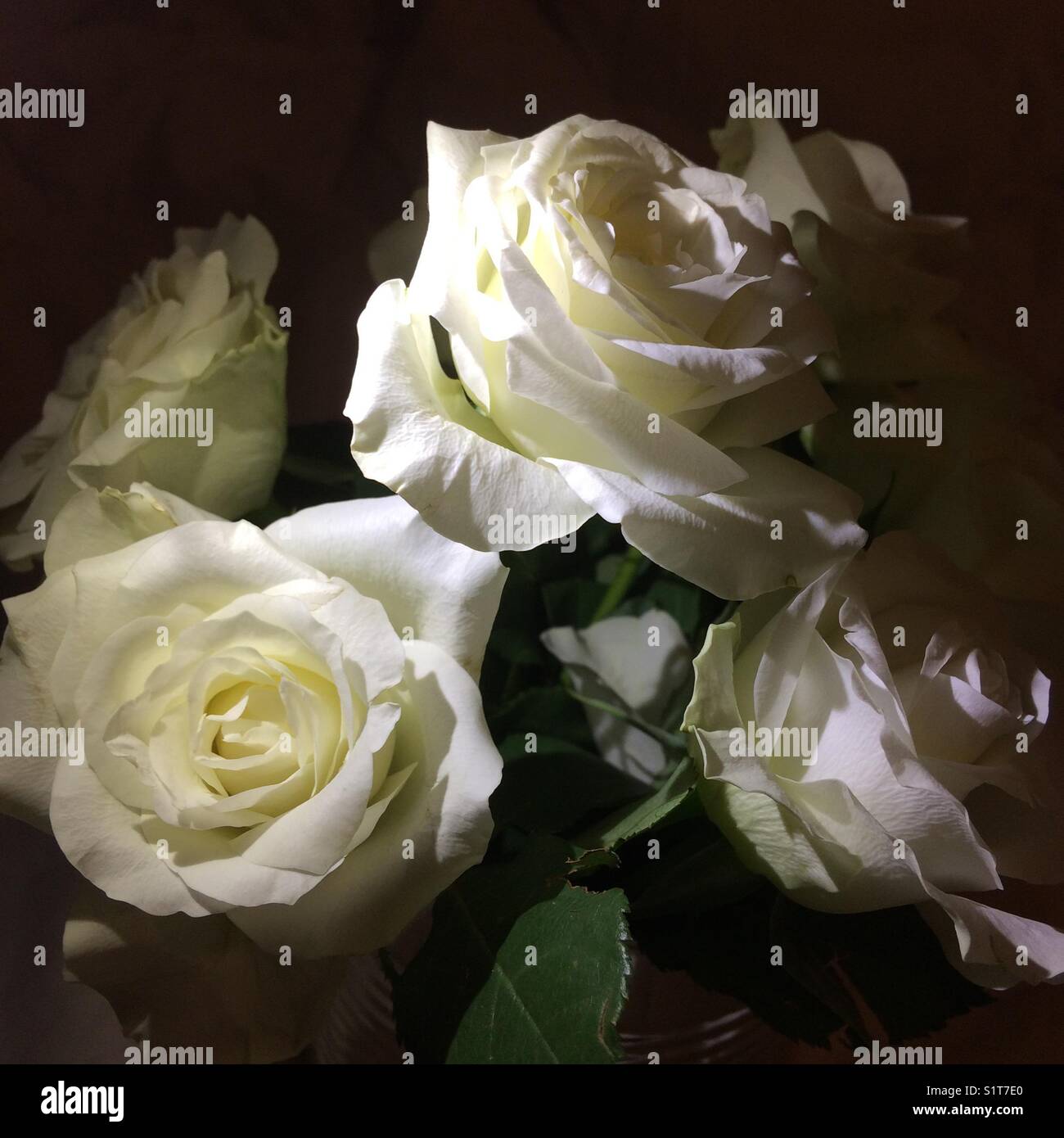 Weiße Rosen Blumenstrauß Stockfoto