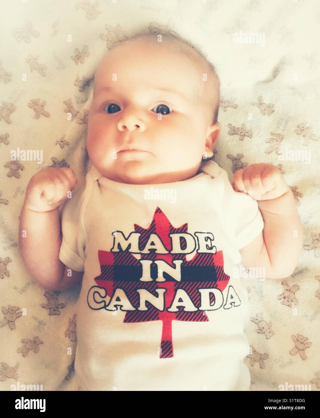 Neugeborenes Baby tragen eines in Kanada body Shirt gemacht Stockfoto