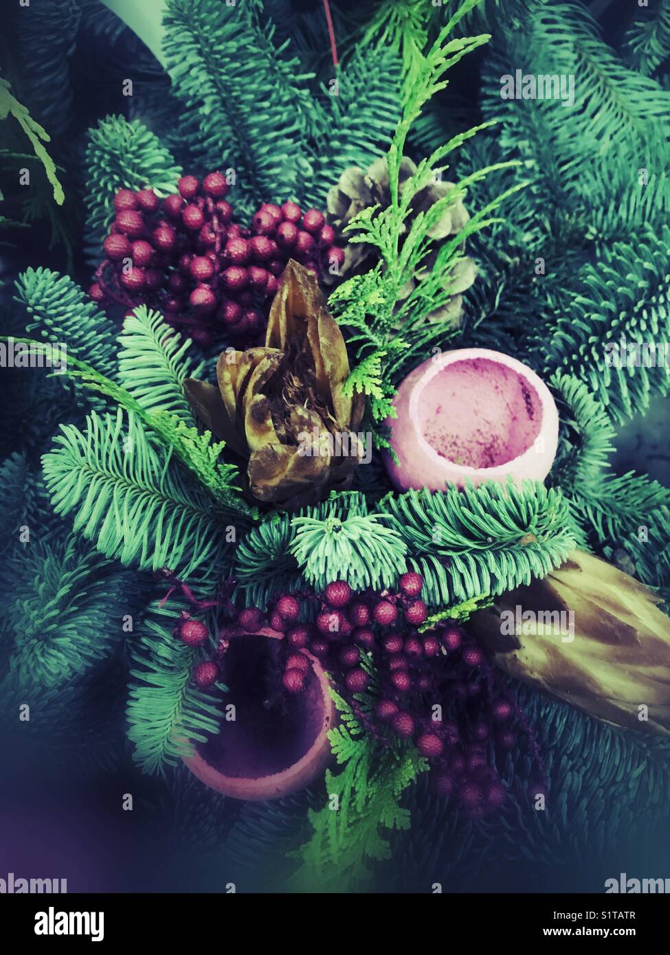 Farn und Beeren Stockfoto