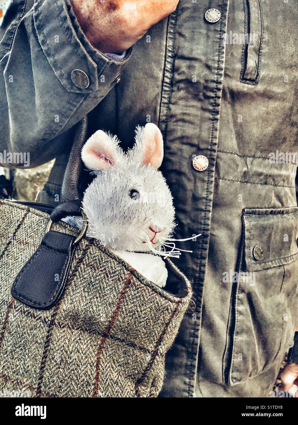 Die Mutter mit einem großen weißen Kaninchen, das aus ihrer Handtasche Stockfoto