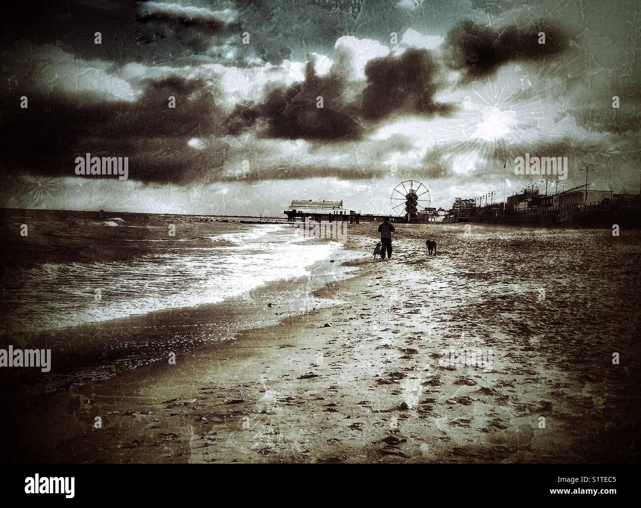 Dog Walker an stürmischen Strand Stockfoto