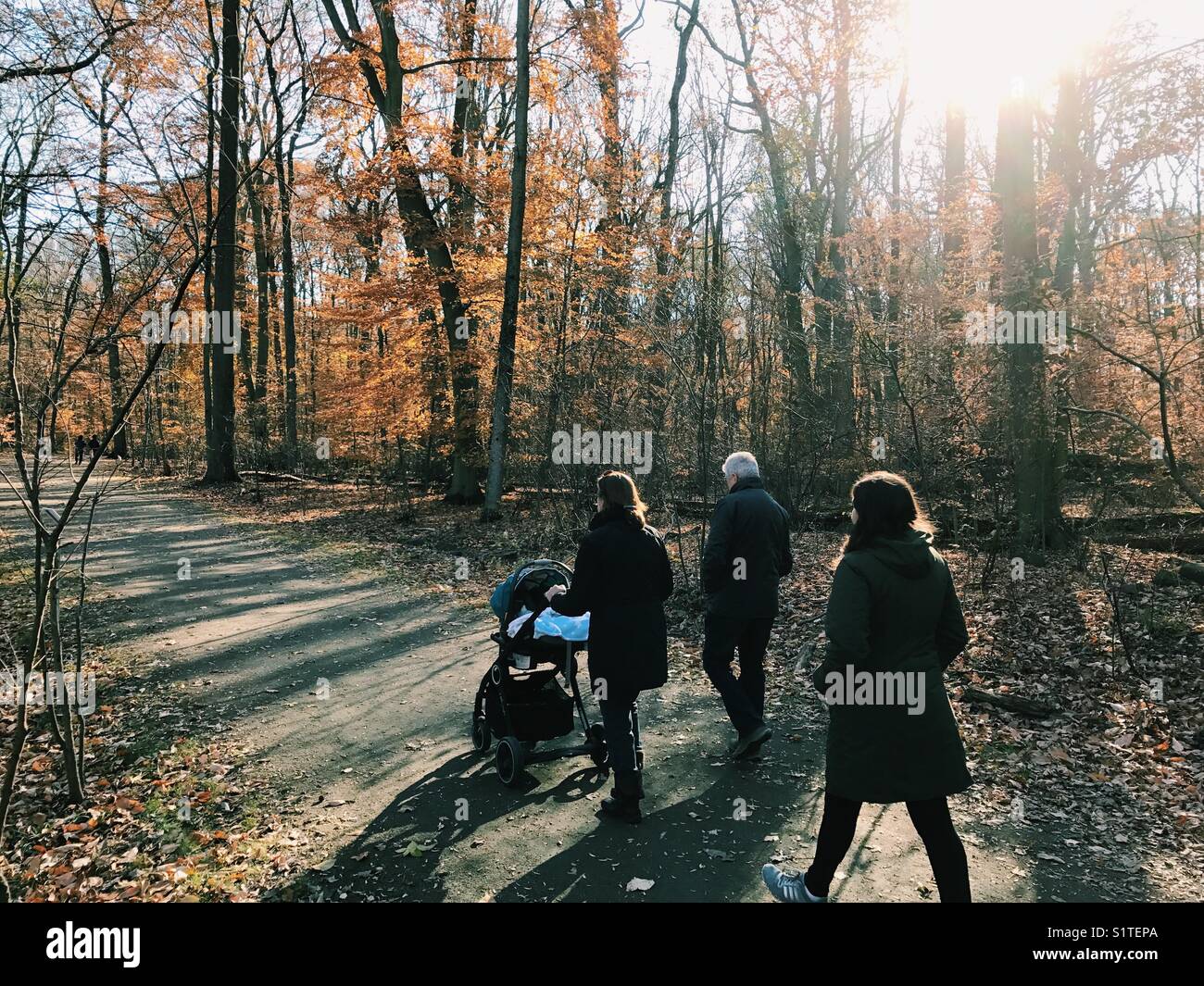 Drei Generationen einer Familie auf einem Spaziergang im Wald im Herbst in New Jersey, USA. Stockfoto