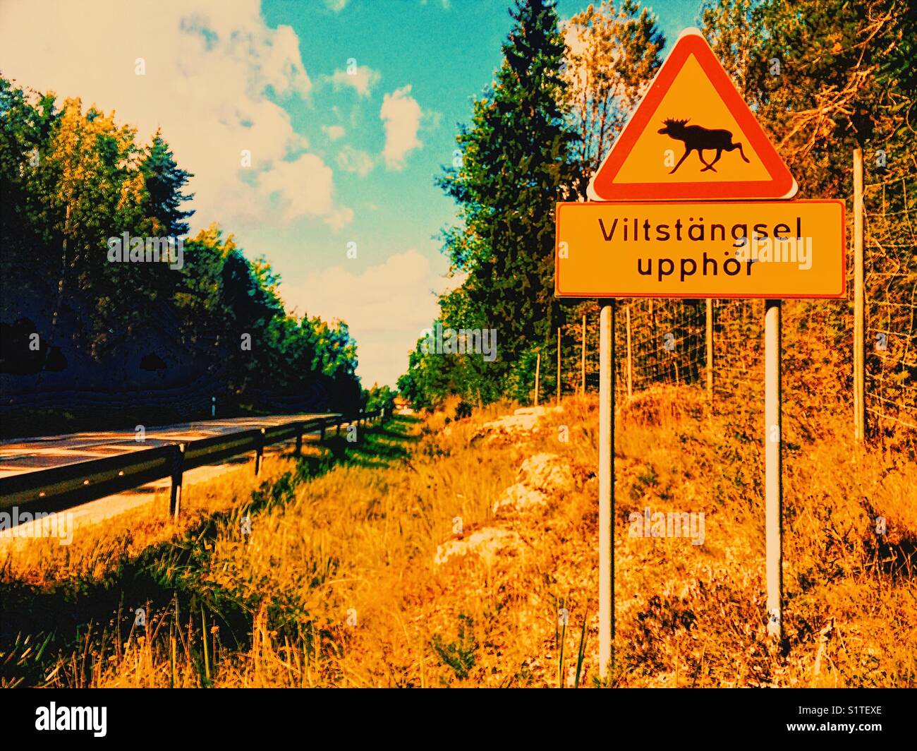 Schwedische Zeichen, das vom Straßenrand Warnung, dass Fechten wilde Tiere von der Strasse zu halten ist zu Ende, Schweden, Skandinavien Stockfoto