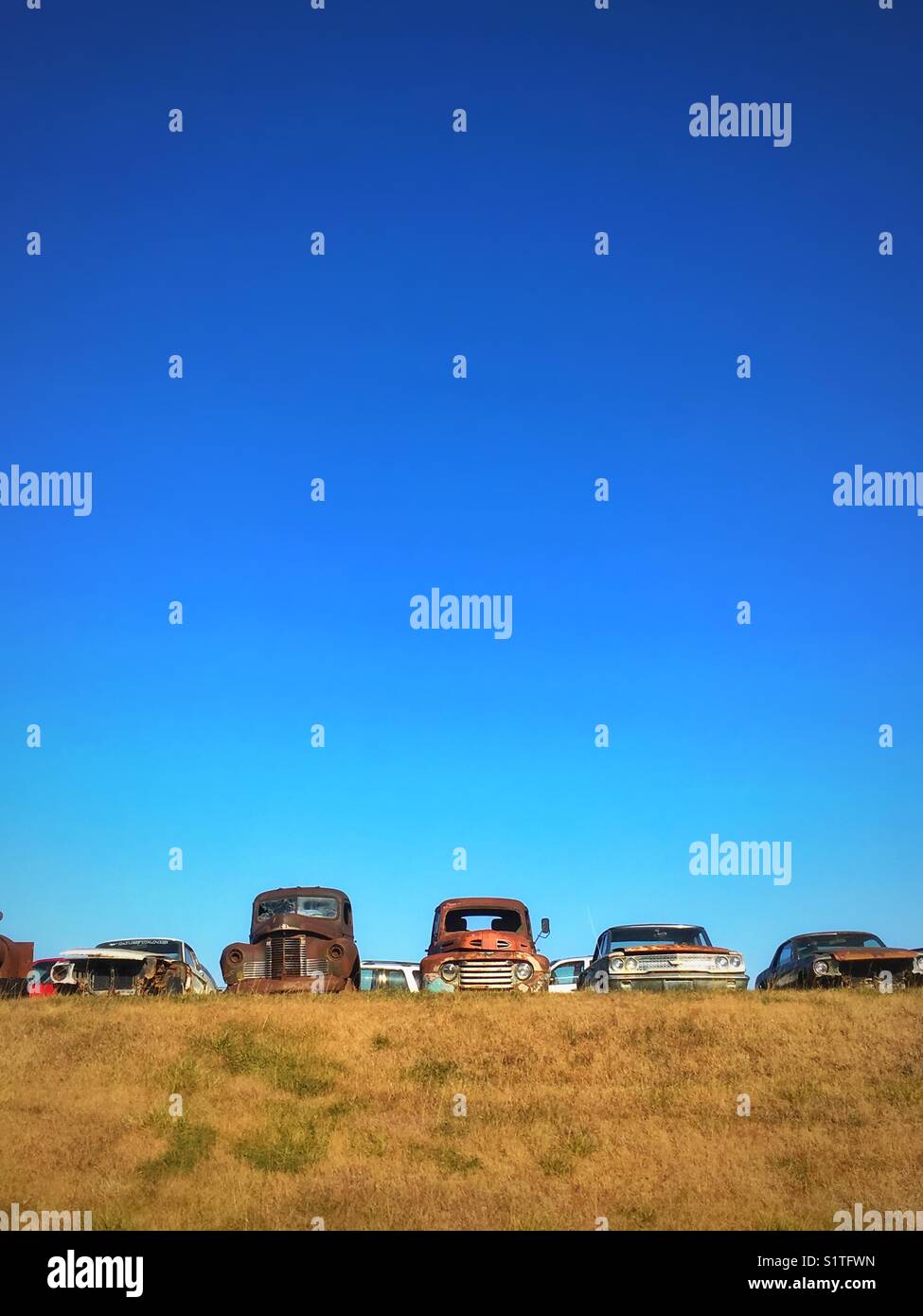 Alte rostige Autos in einer Linie gegen den blauen Himmel - Smartphone-aufgenommenes Stockfoto