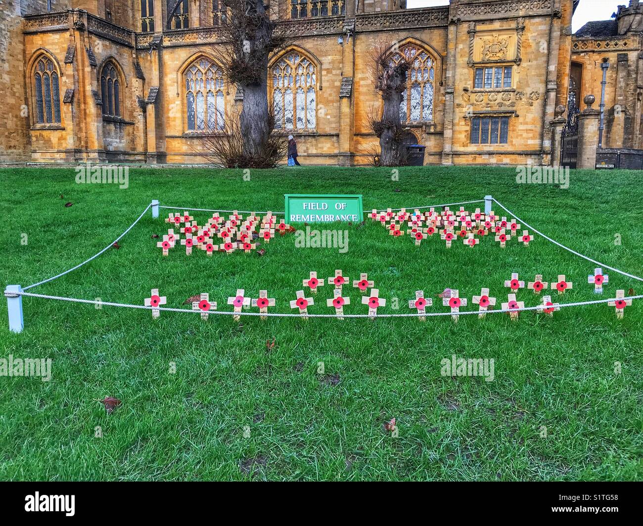Mohnblumen auf einem Feld der Erinnerung außerhalb Sherborne Abbey, Dorset, England - Smartphone-aufgenommenes Stockfoto