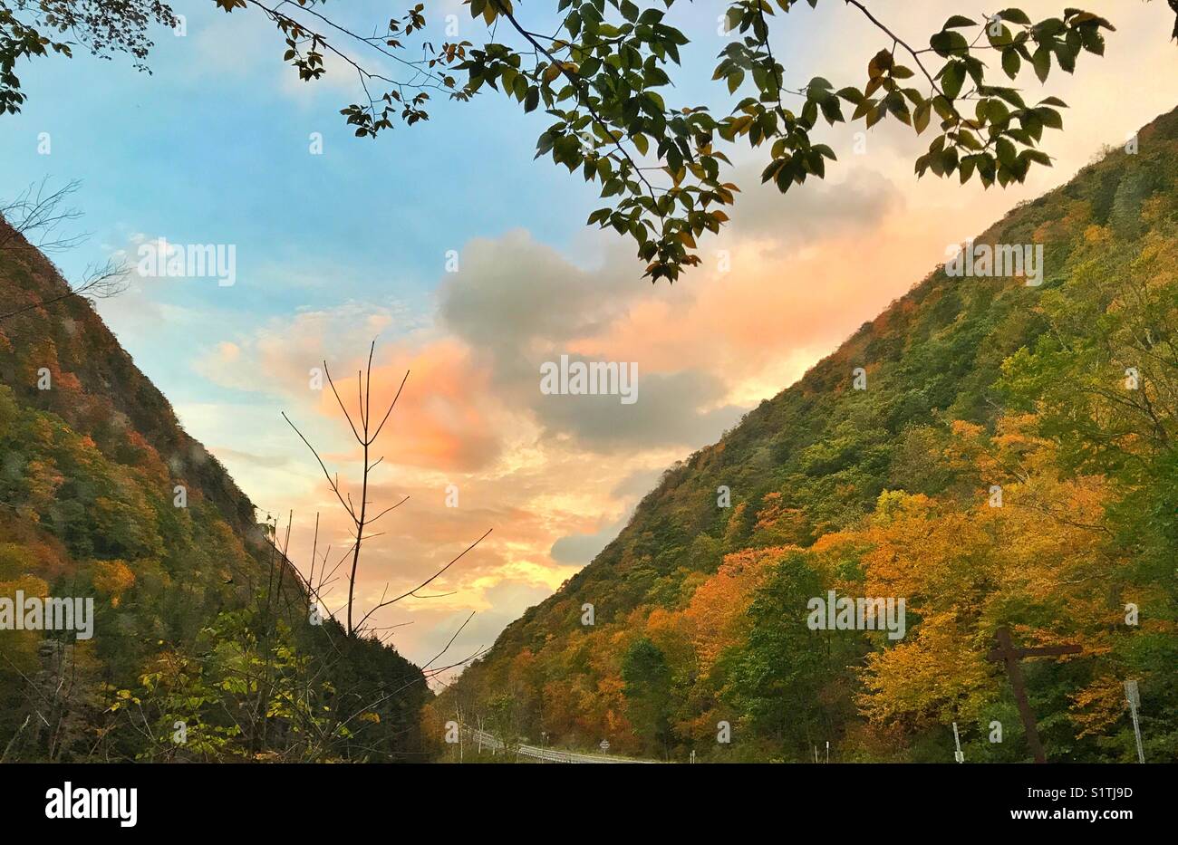 Herbst Bäume auf Berg in Newyork, USA Stockfoto