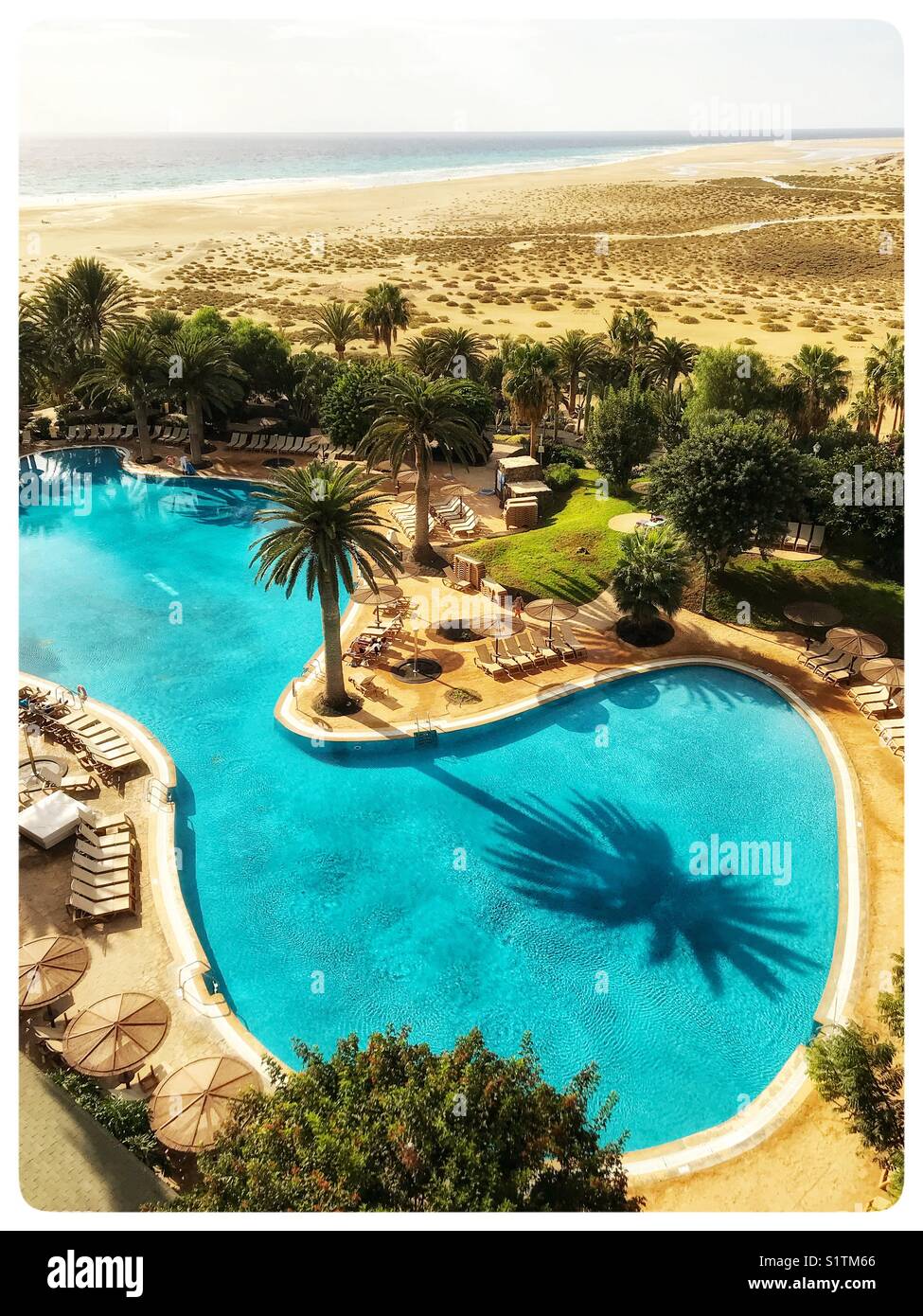 Ein luftbild von einem schönen Pool umgeben von Bäumen auf Fuerteventura, Spanien. Stockfoto