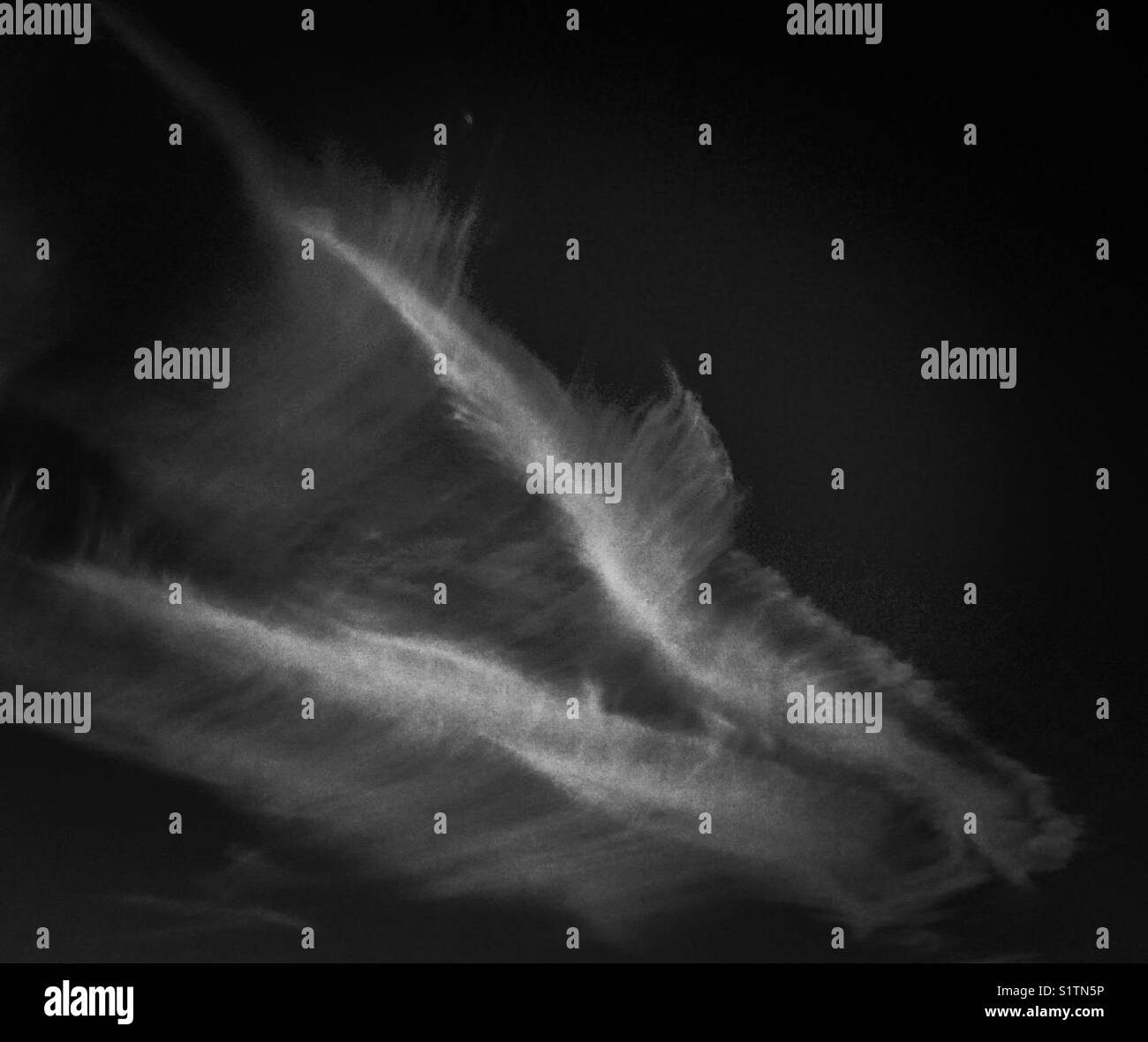 Schwarz-weiß Foto von Fisch geformte Wolken Stockfoto