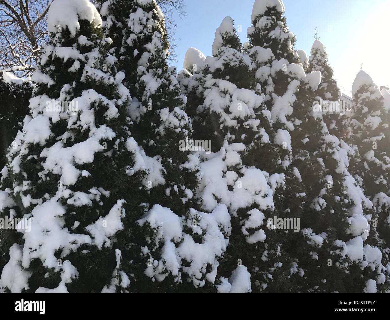 Der erste Schnee der Saison 2017/2018 im Staat New York am 9. Dezember 2017. Stockfoto