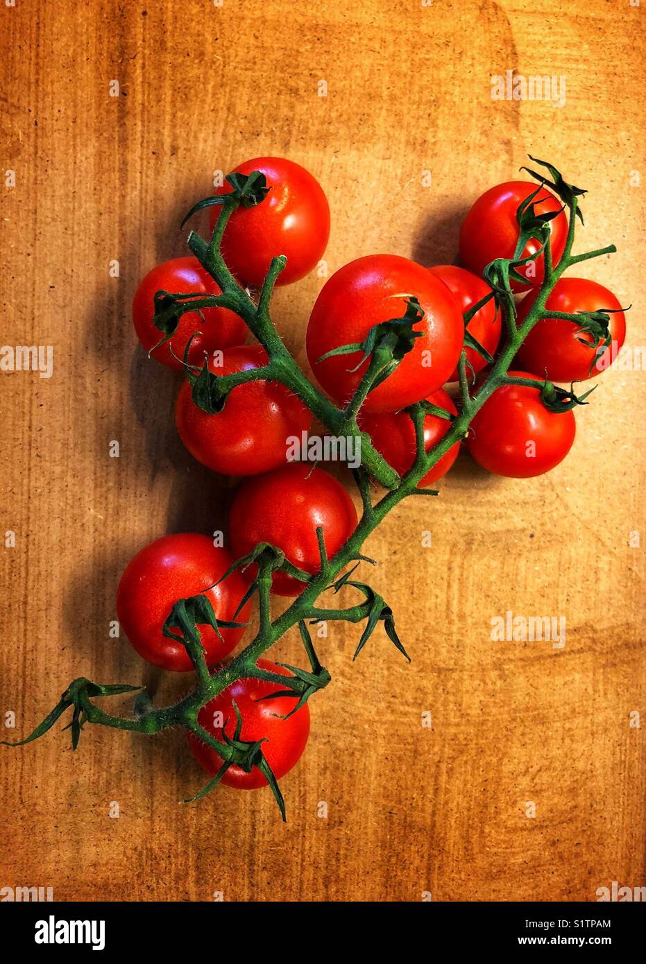 Frische, rote Tomaten auf der Weinrebe, auf Holzgrund - Smartphone-aufgenommenes Stockfoto