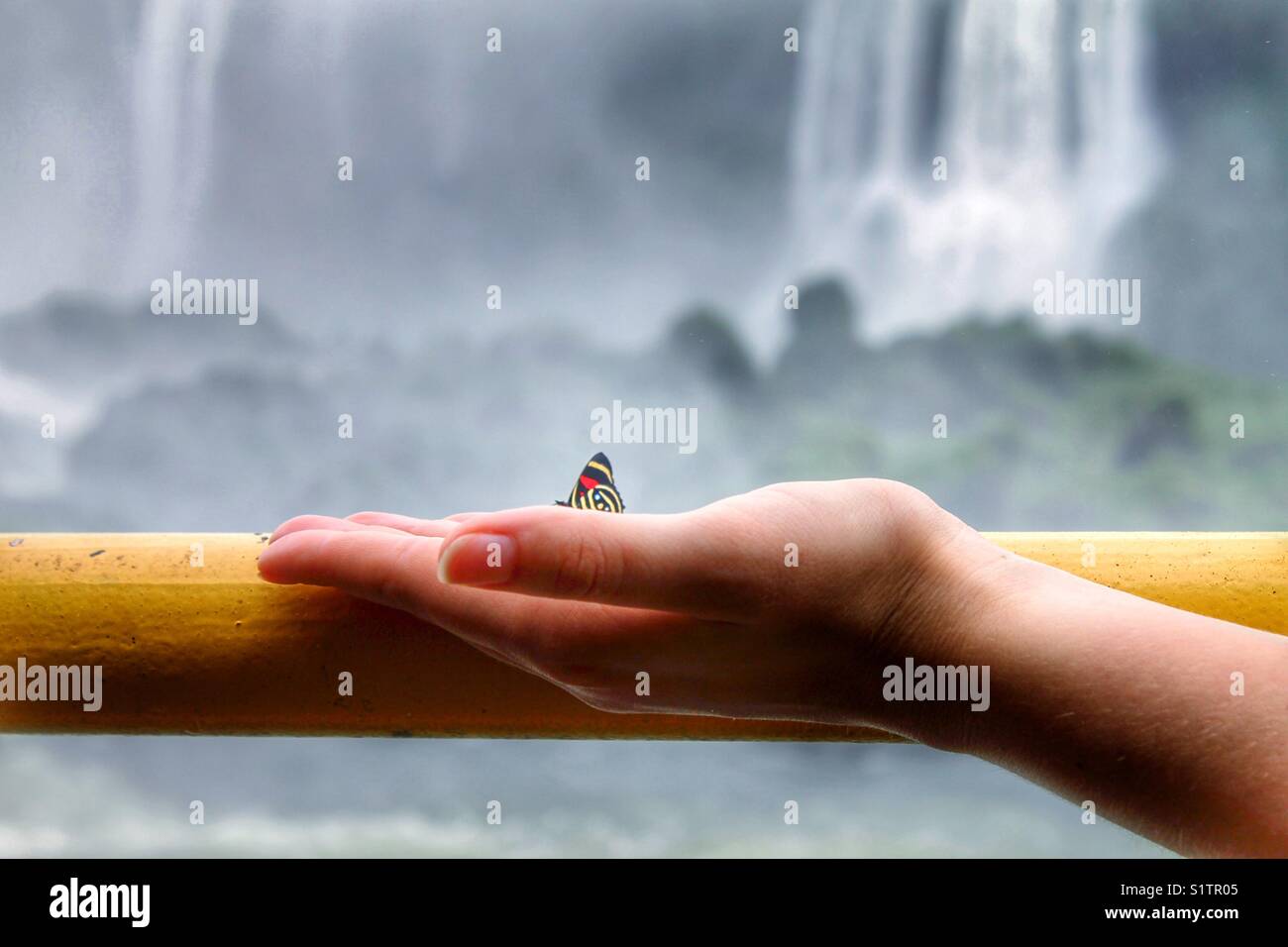 Der Schmetterling an Hand einer Frau mit einem Wasserfall im Hintergrund Stockfoto