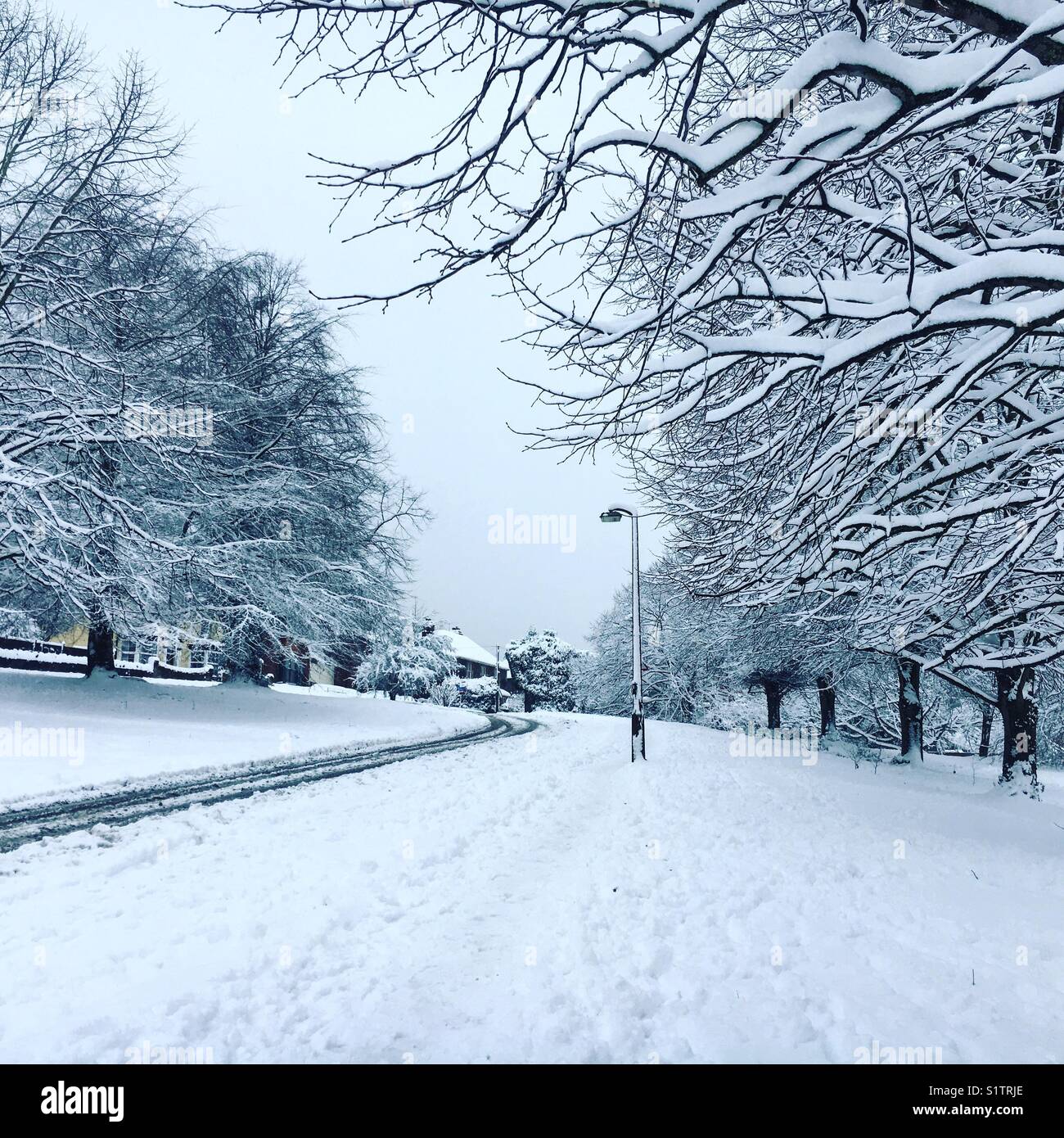 Schweren Schnee auf Bäume in Malvern Großbritannien Stockfoto