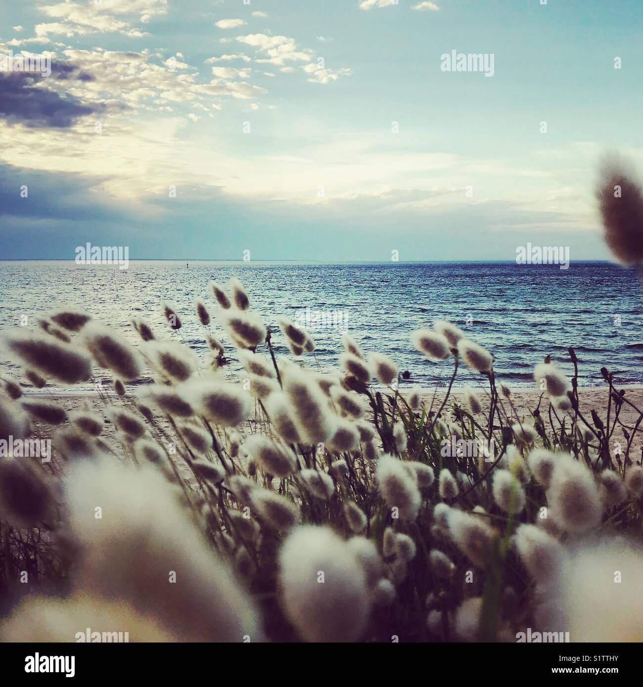 Sommernachmittag am Strand Stockfoto