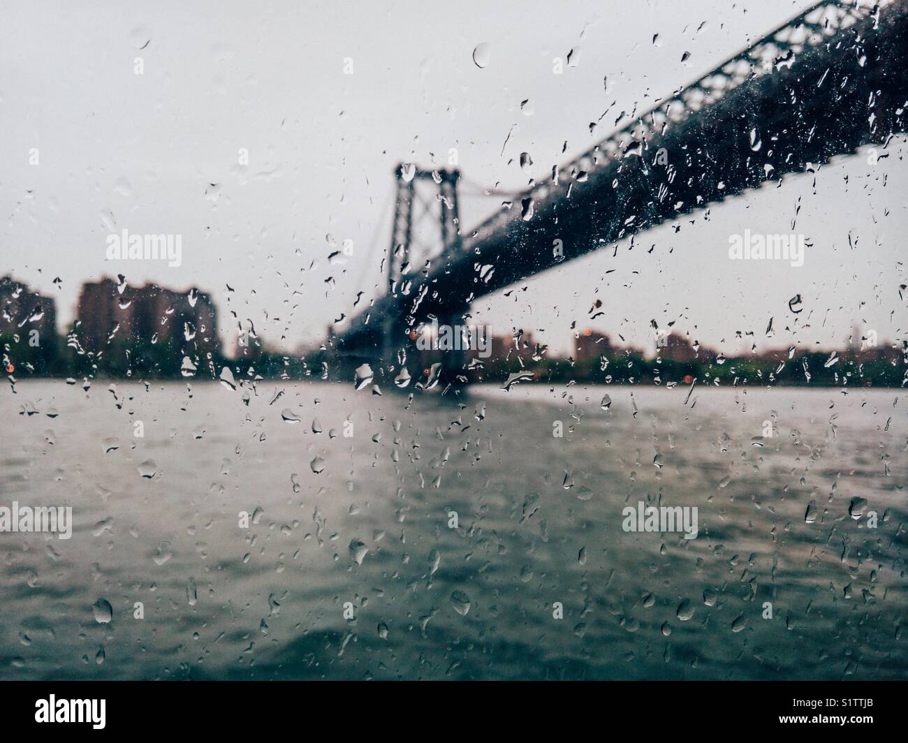 Die Williamsburg Bridge durch Regen fällt auf das Fenster gesehen. Stockfoto