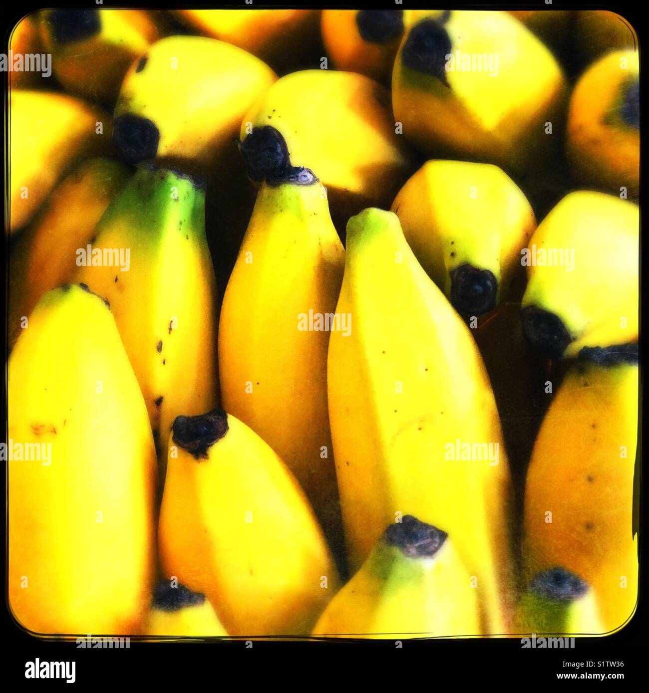 Bananen buts - Smartphone-aufgenommenes Stockfoto