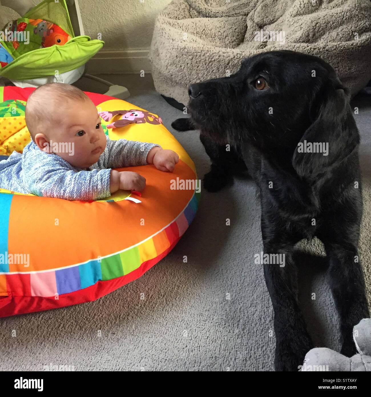 Baby und Hund Stockfoto