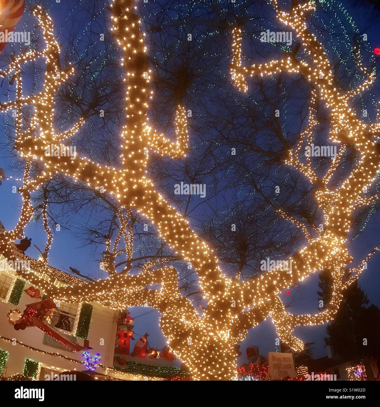 Over-the-top Weihnachtsschmuck, Seattle, Dämmerung - Smartphone-aufgenommenes Stockfoto