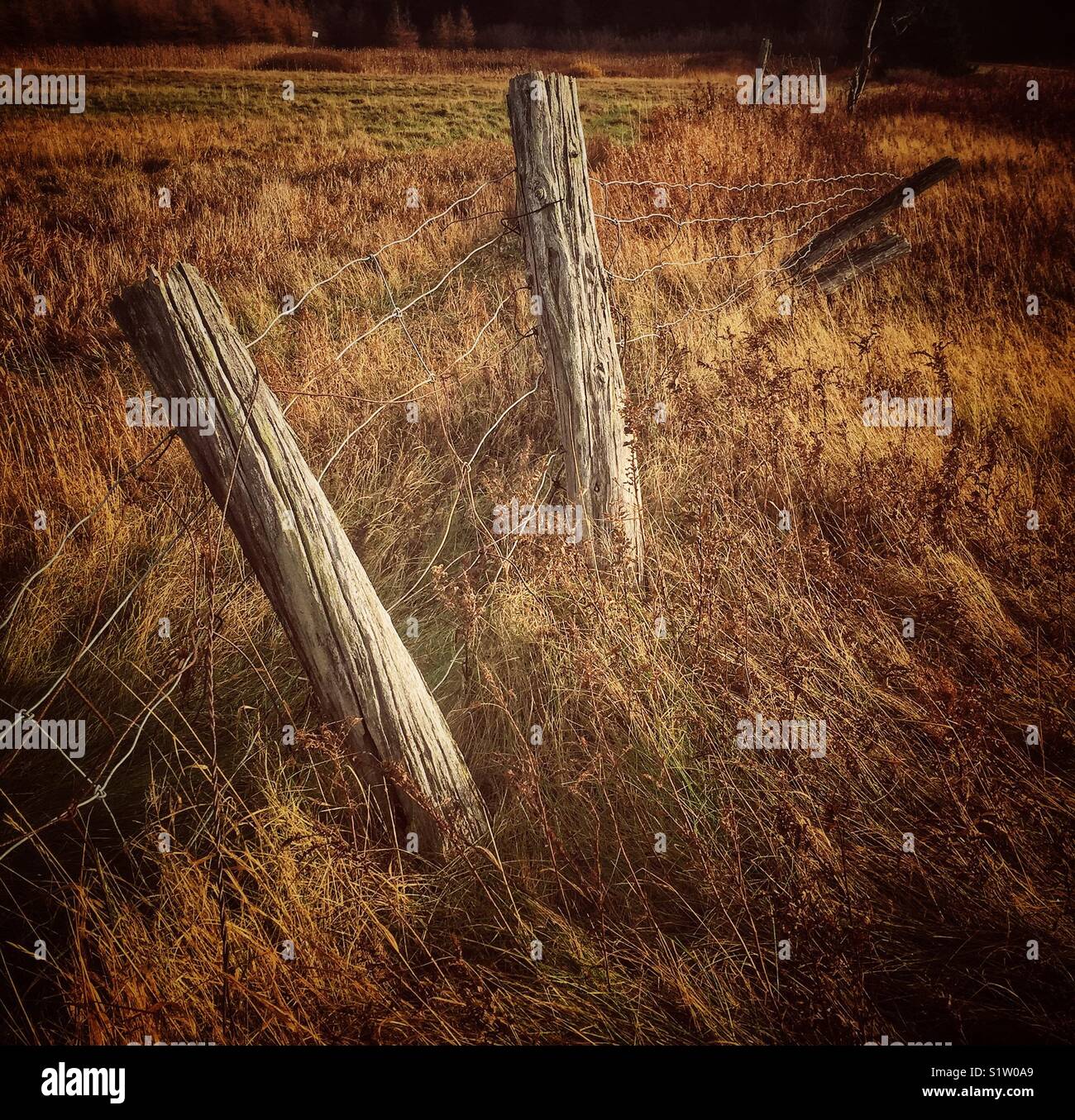 Alten Stacheldraht Bauernhof Zaun. - Smartphone-aufgenommenes Stockfoto