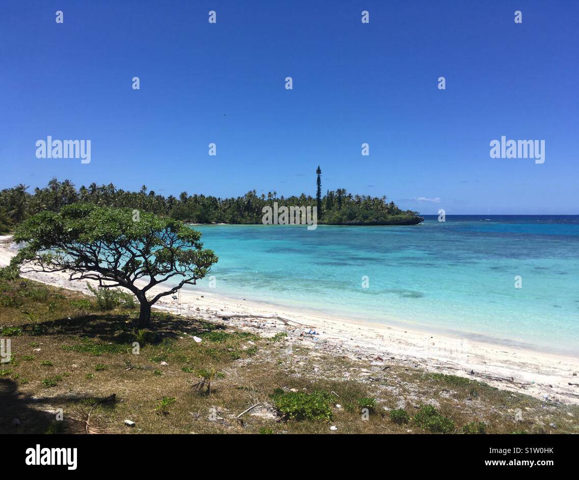 Weiße Koralle Sandstrand auf Lifou Island, New Caledonia, im südwestlichen Pazifik - Smartphone-aufgenommenes Stockfoto