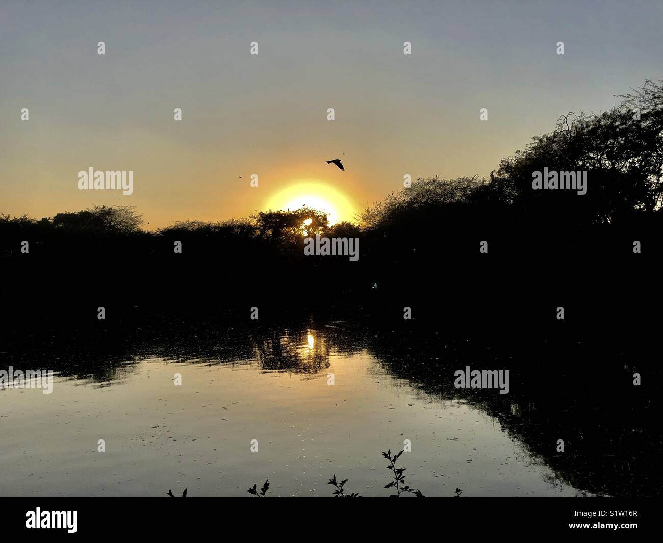 Sunset Landschaft bei National Zoological Park, Neu Delhi, Indien Stockfoto