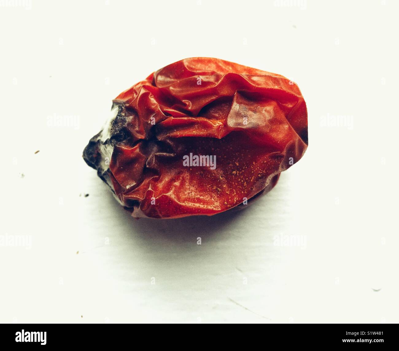 Faltige faulen Tomate Roma auf weißem Fensterbänke Stockfoto