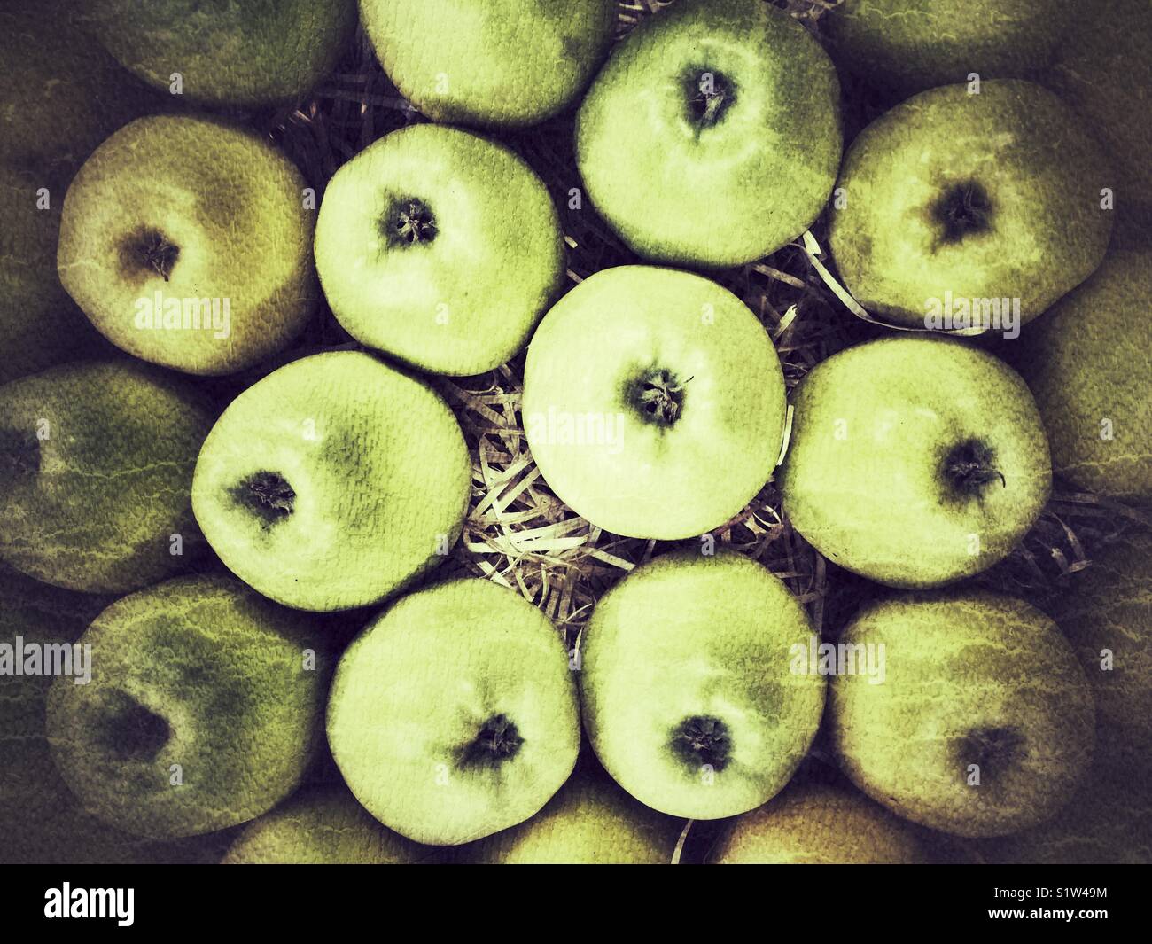 Äpfel zu verkaufen Stockfoto