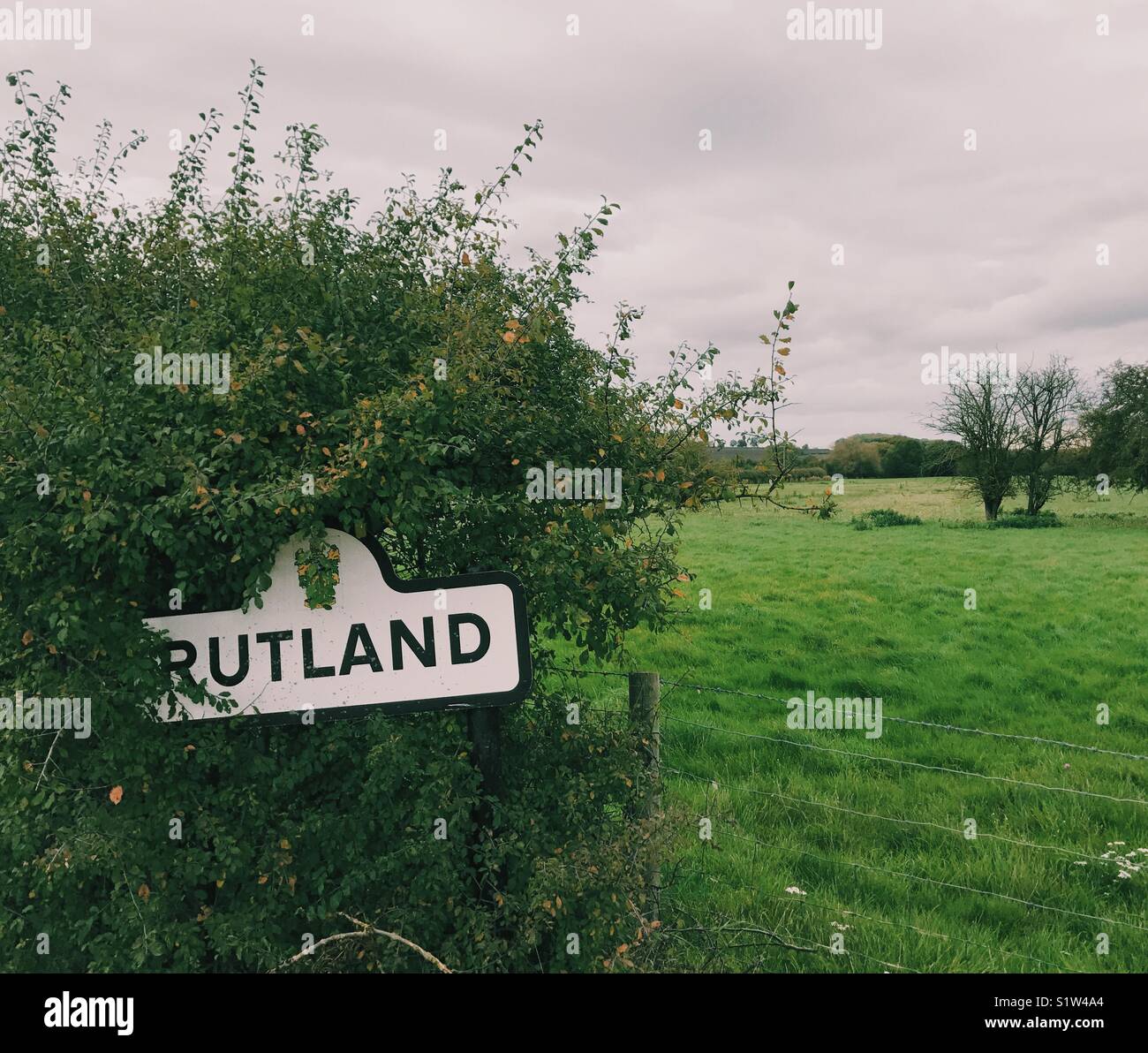 Rutland Road Sign in Hedge Stockfoto