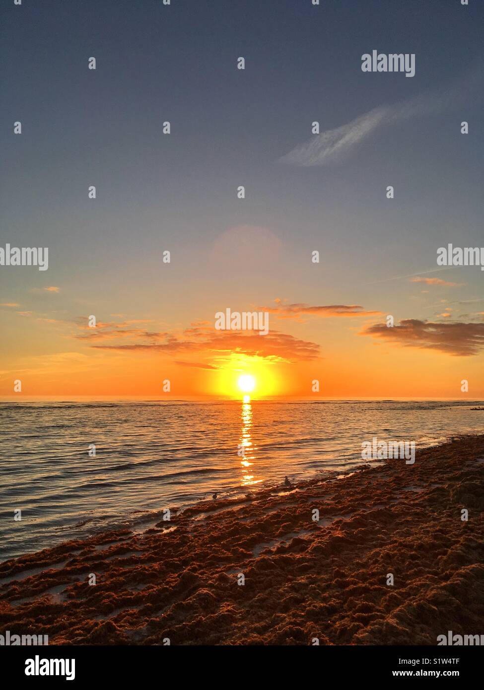 Anclote Schlüssel bei Sonnenuntergang in Florida Stockfoto