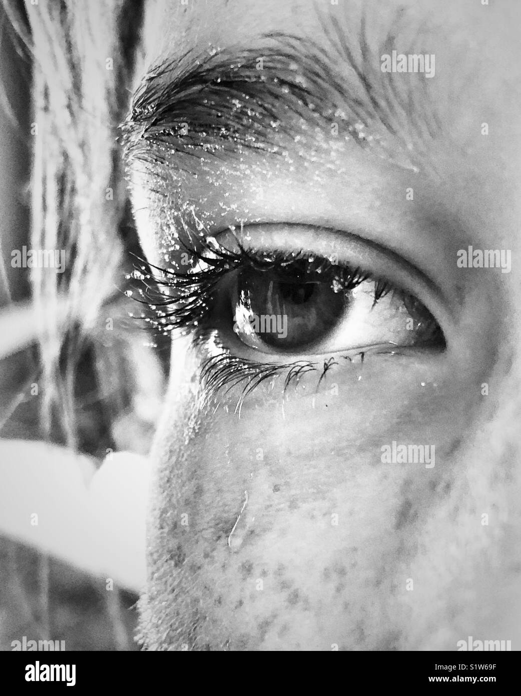Nahaufnahme des Girl's Auge und teilweise Gesicht in Wassertropfen, wie Schweiß oder Tränen aussehen Stockfoto