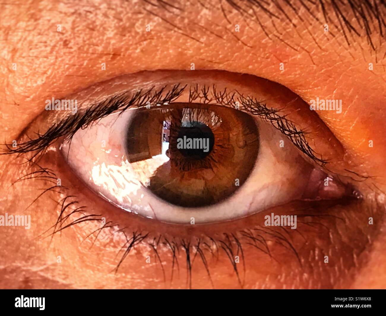 Das Licht, das in eine Tür eindringt, wird in einem braunen Auge einer Frau in Mexiko-Stadt reflektiert - Smartphone-aufgenommenes Stockfoto