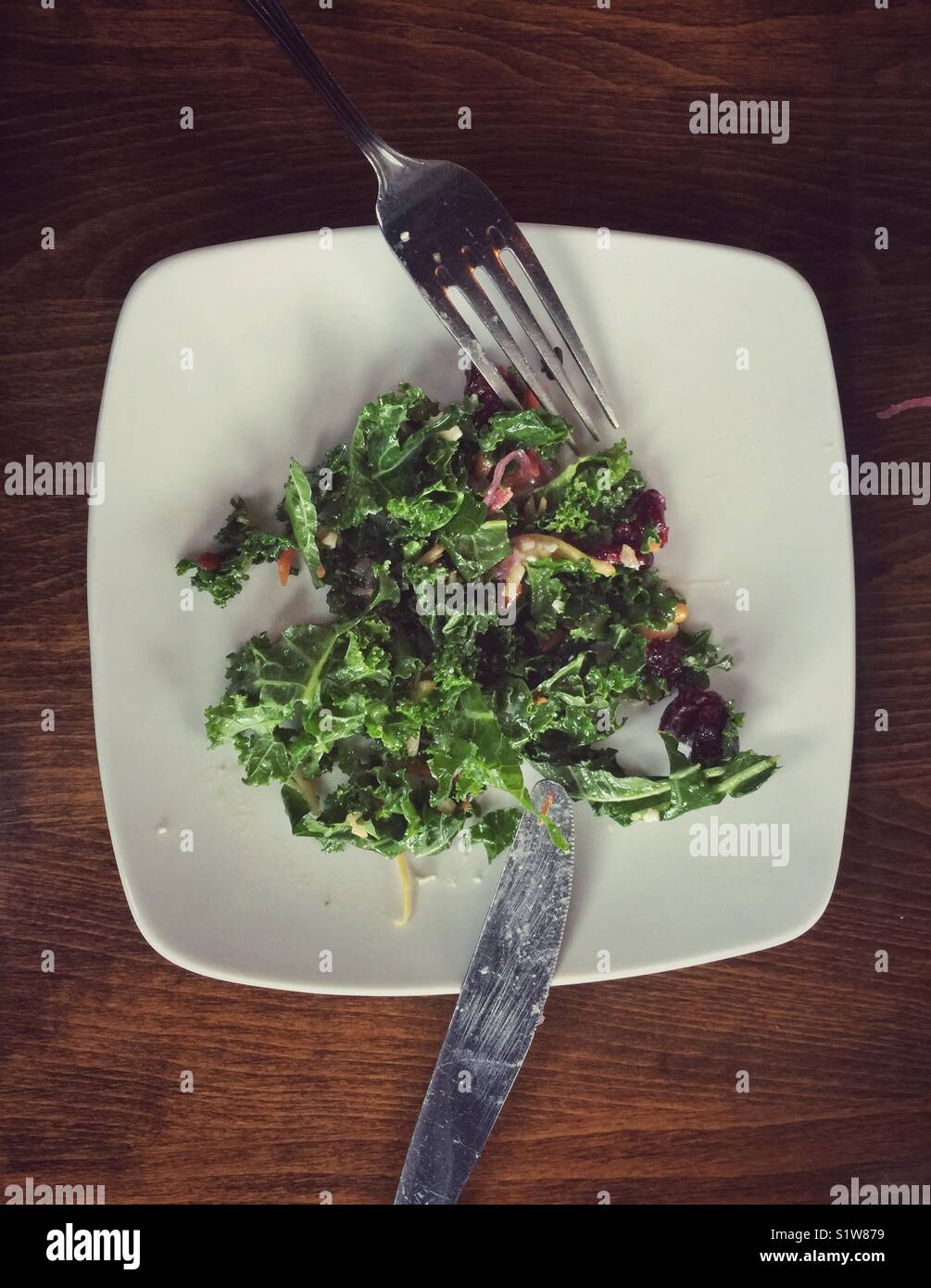 Lecker und gesund Grünkohl Salat auf weiße quadratische Teller mit Messer und Gabel Stockfoto