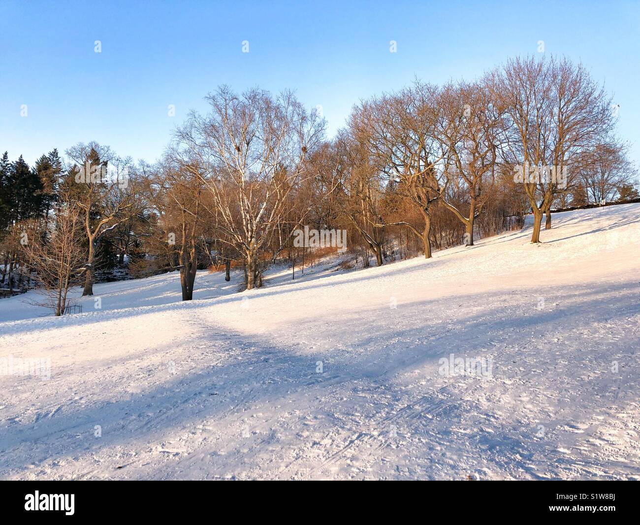 Eine sonnige Winterlandschaft. Stockfoto