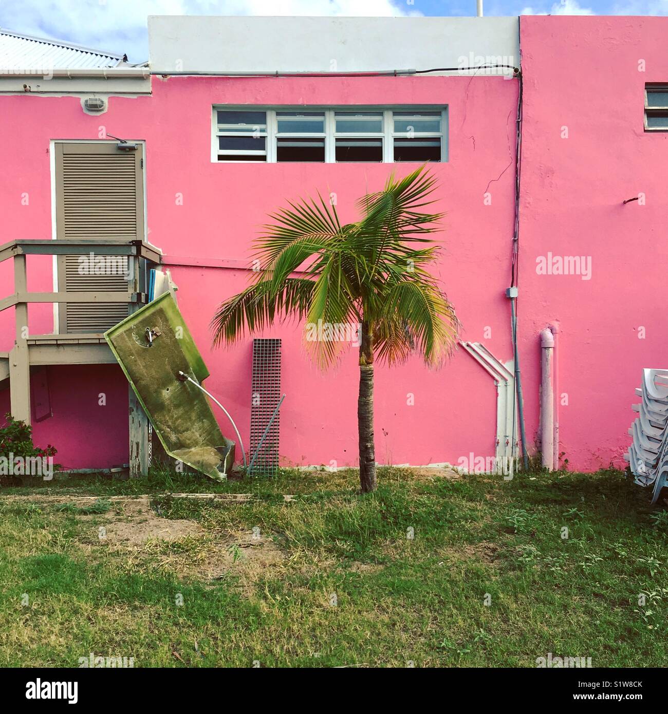 Rosa Wand- und Palm Tree Stockfoto