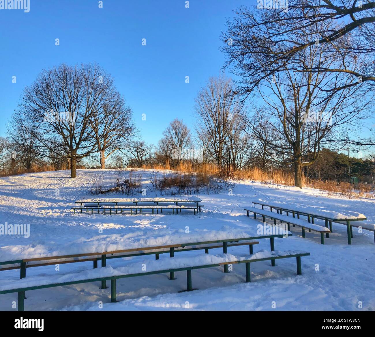 Schnee bedeckt Picknick-bänken in High Park, Toronto. Stockfoto