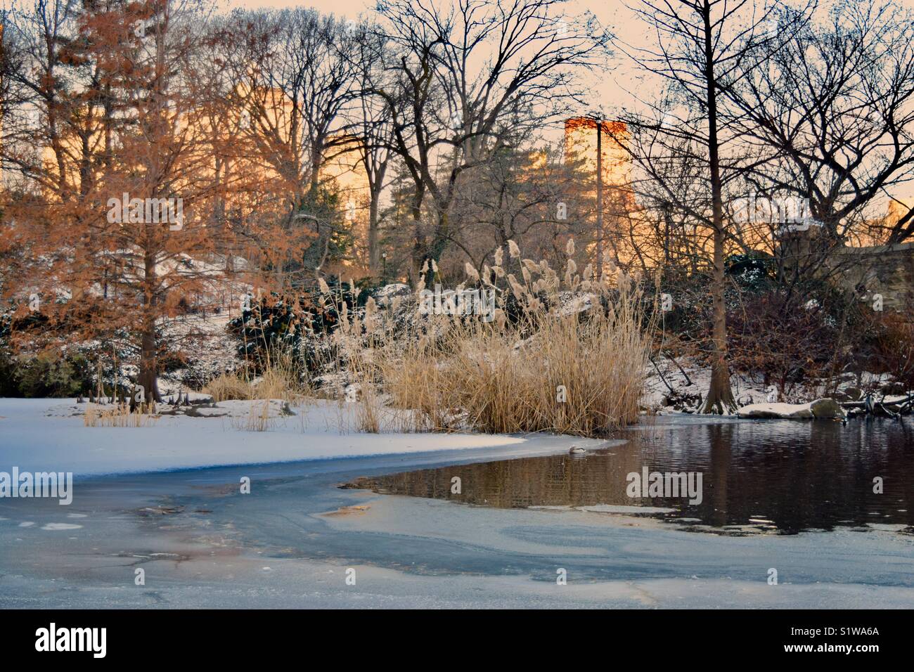 Zugefrorenen Teich im Central Park Stockfoto