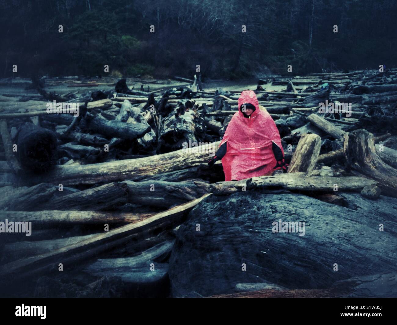 Wanderer in rot Regenponcho klettern über riesige Protokolle auf Ruby Strand auf der Halbinsel Olympic Stockfoto