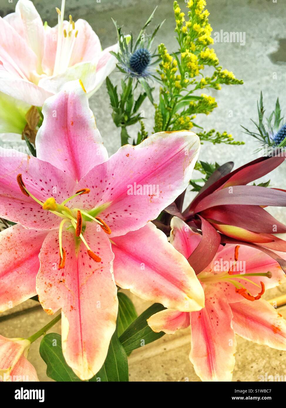Schönen Geburtstag Blumen Stockfoto
