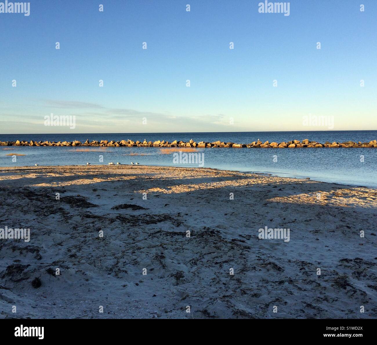 Corporation Beach, Cape Cod, Massachusetts, United States Stockfoto