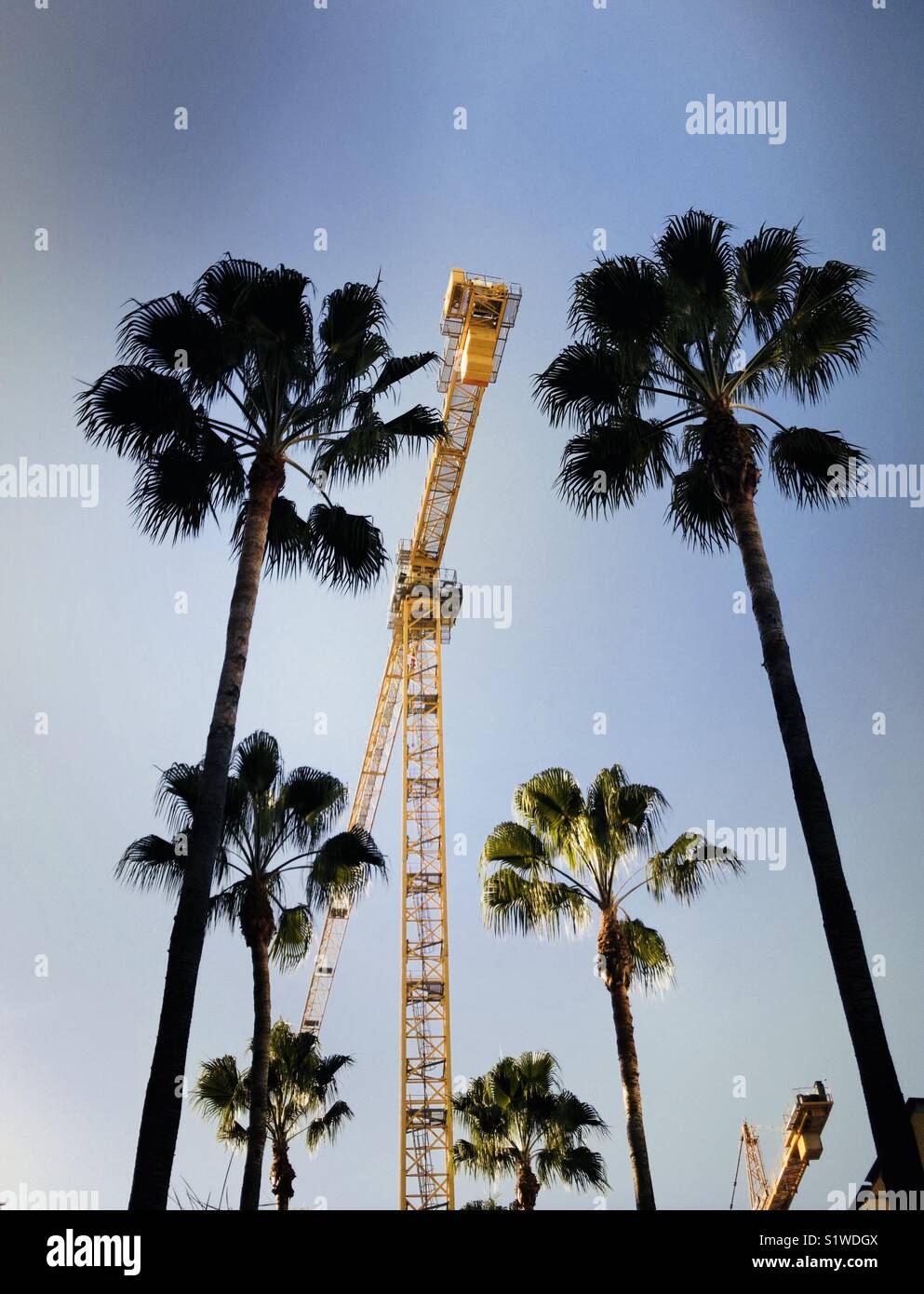 Palmen und Bau Ketten. Los Angeles, Kalifornien, USA. - Smartphone-aufgenommenes Stockfoto