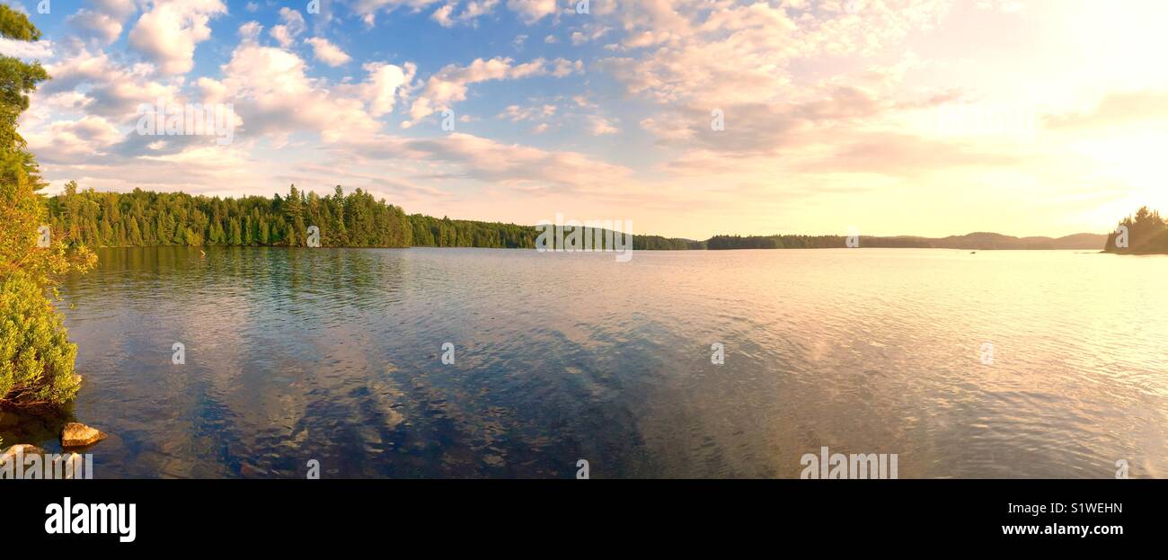Panoramablick auf den See Wald Porträt an einem sonnigen Tag Stockfoto