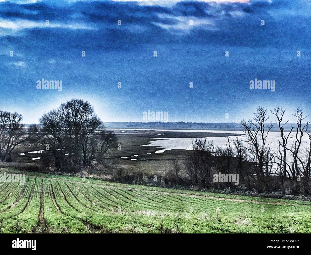 Ackerland an den Ufern des Flusses Deben, Ramsholt, Suffolk, Großbritannien. - Smartphone-aufgenommenes Stockfoto
