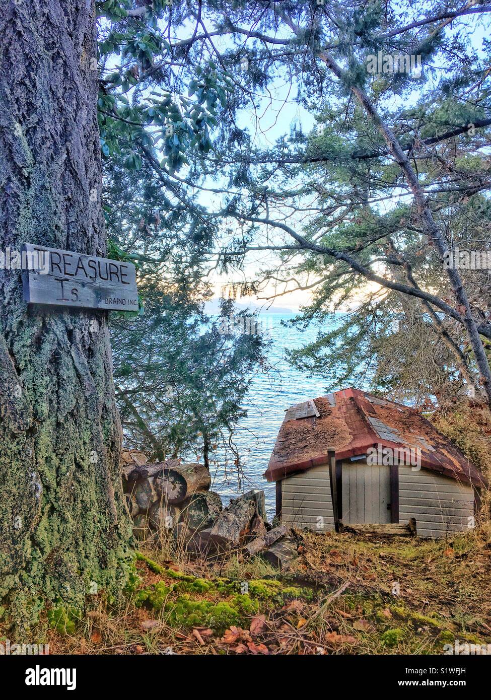 Trevor Inselchen aus Saturna Island Winter Stockfoto