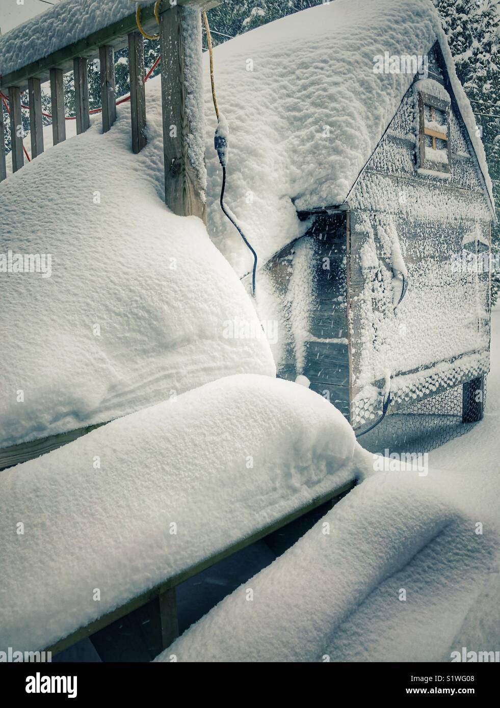 Hühnerstall und Holzdeck Treppen in tiefem Schnee während eines Schneesturms in Ontario, Kanada abgedeckt - Smartphone-aufgenommenes Stockfoto