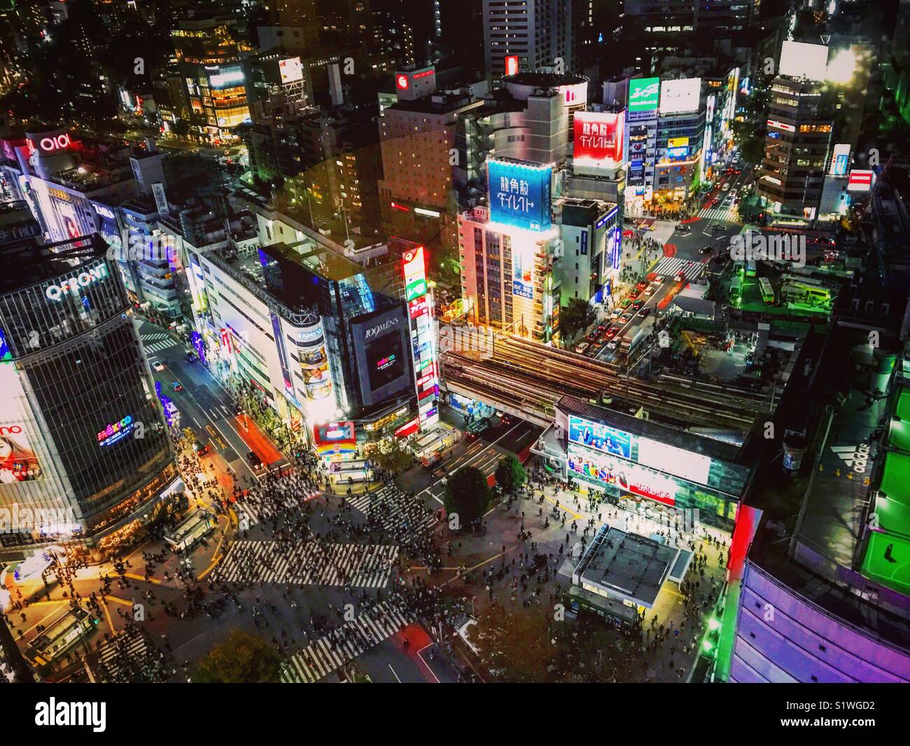 Birdseye View von Shibuya Crossing in der Nacht. Tokio. Stockfoto