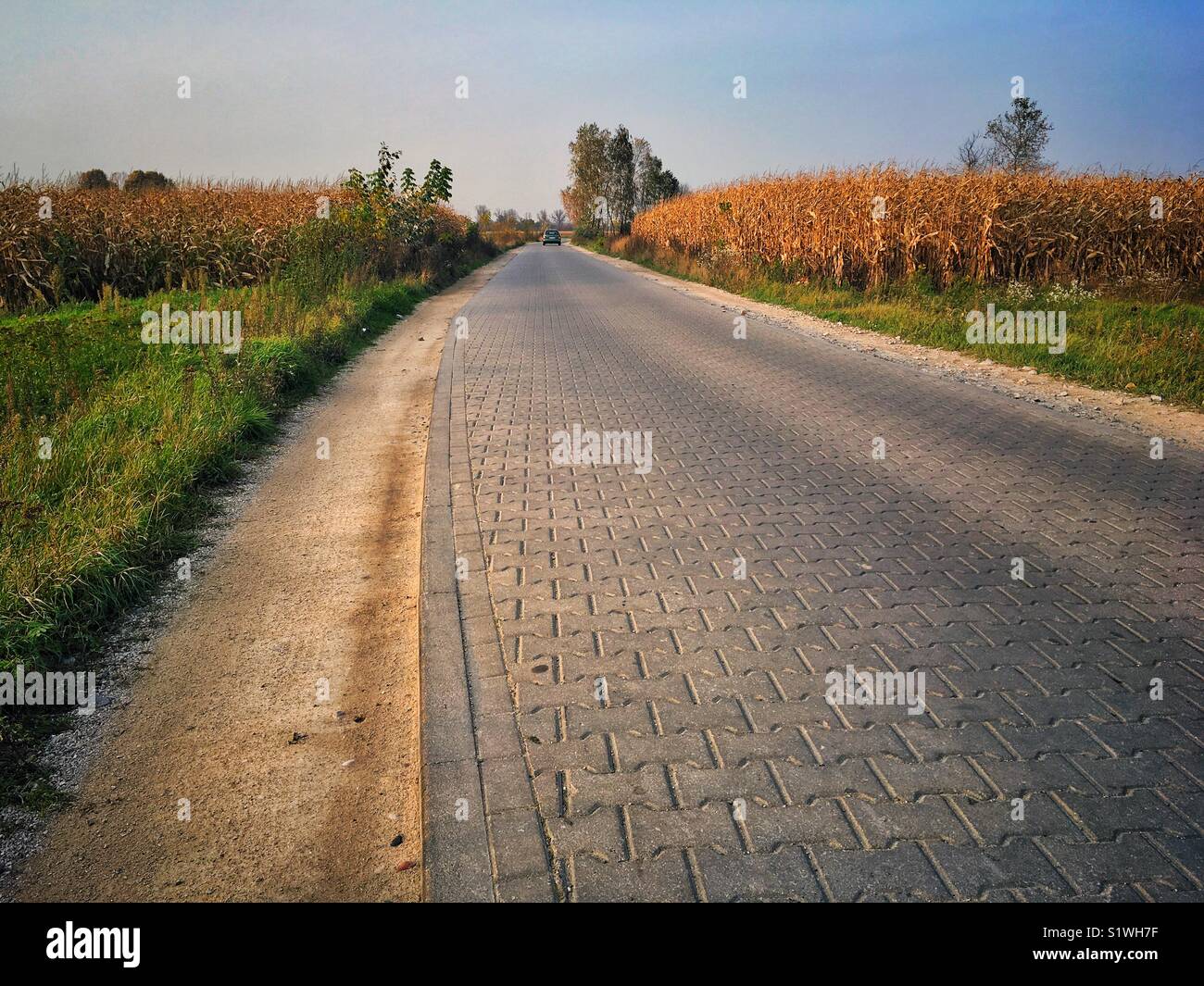 Gepflasterte Straße in Brochow Dorf, Masowien Region Polens Stockfoto
