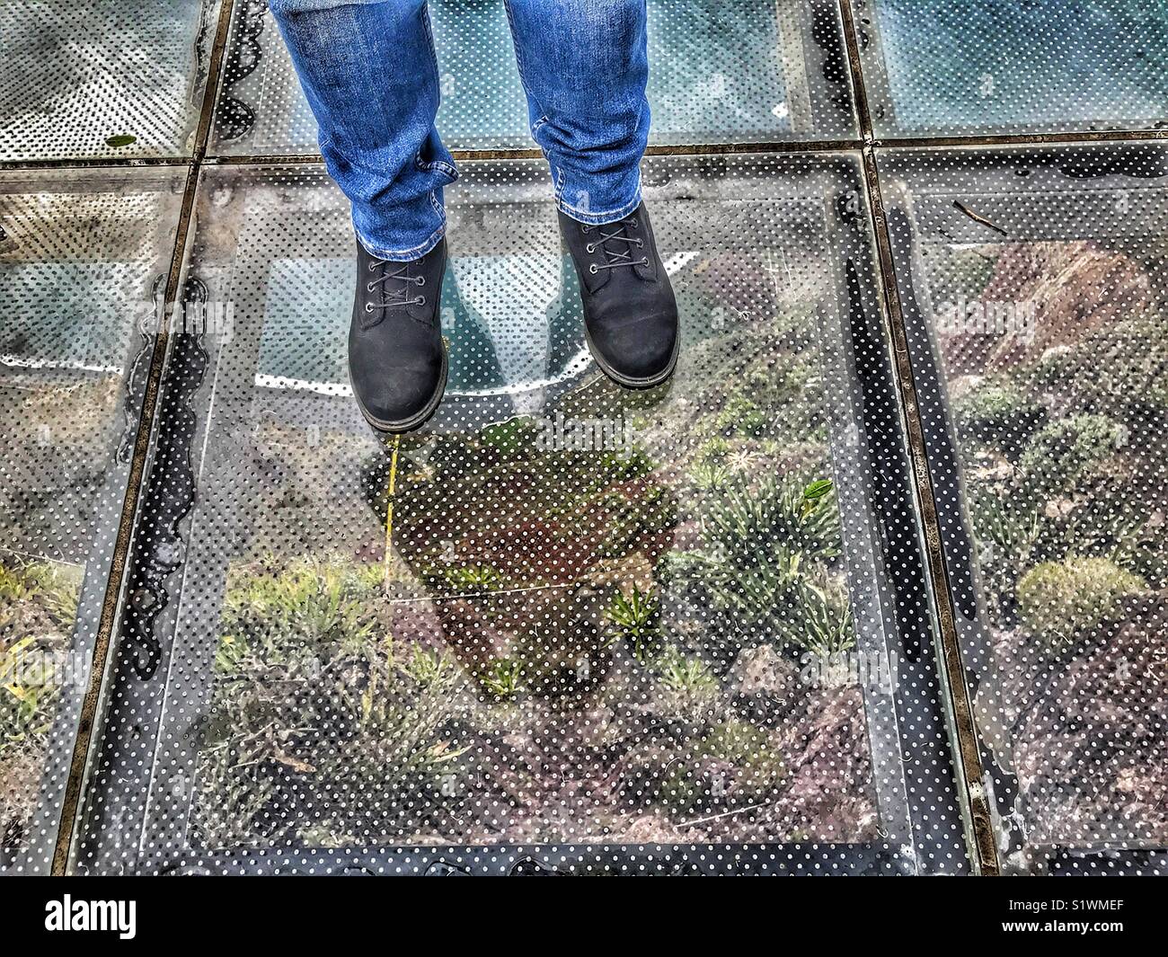 Person, die auf das Glas skywalk Aussichtsplattform in 580 m über dem Meer, Miradouro do Cabo Girao, Madeira, Portugal Stockfoto