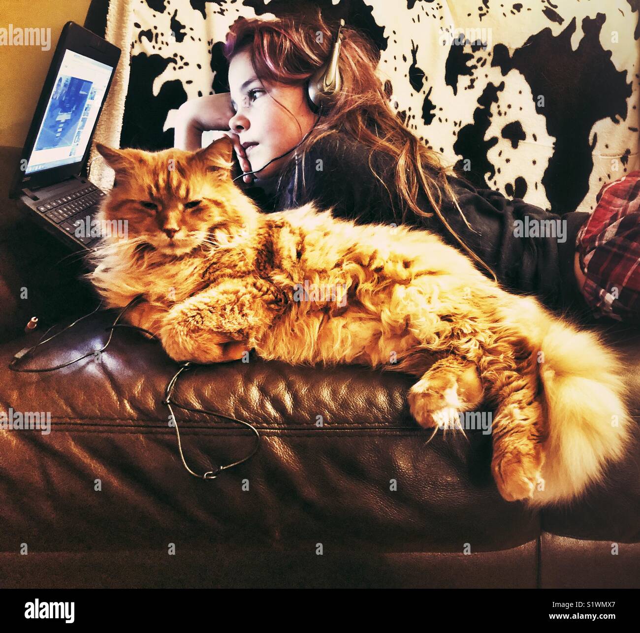 Girl Videos auf Laptop mit großen orange Katze neben ihr auf einem Ledersofa Stockfoto