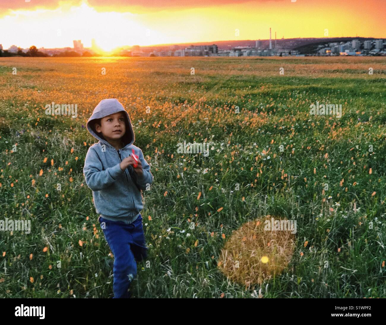 Junge Start eines Drachen in einem Feld Stockfoto